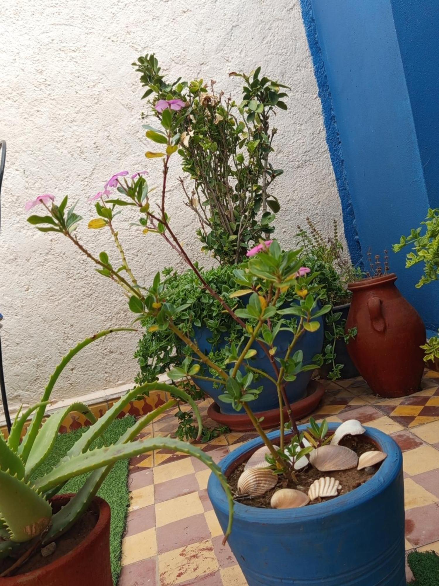 Riad Derb El Aarsa Marrakesz Zewnętrze zdjęcie