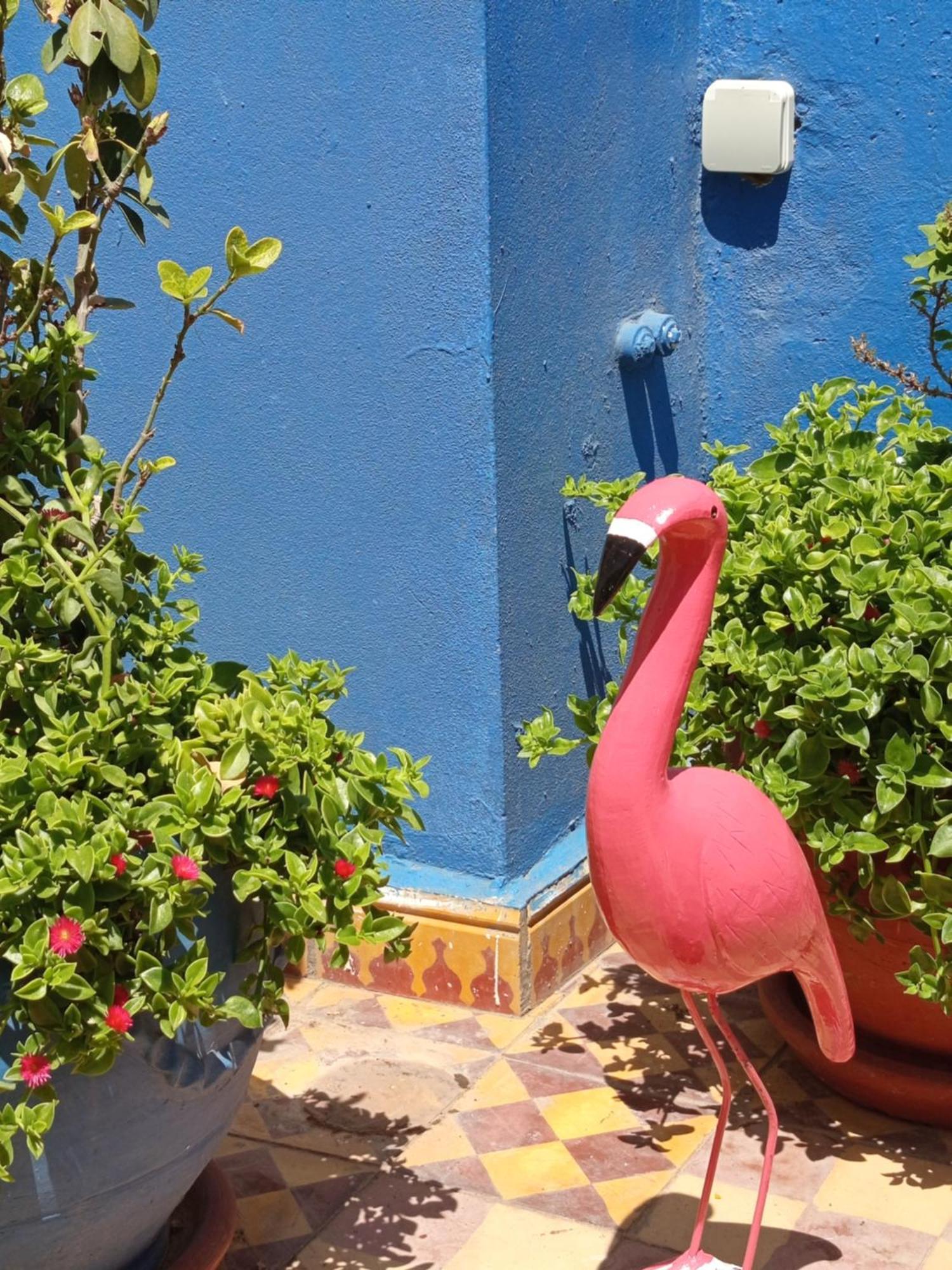 Riad Derb El Aarsa Marrakesz Zewnętrze zdjęcie